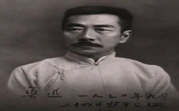 《彷徨》读书心得8篇