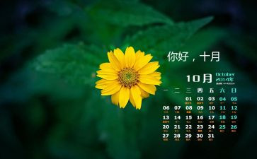 10月工作总结参考5篇