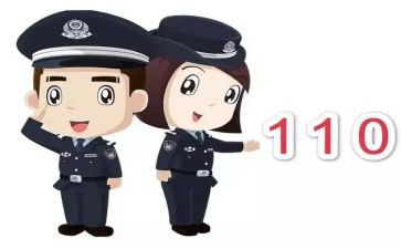 110民警工作总结6篇