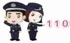 110民警工作总结6篇