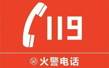 小学119活动总结推荐6篇