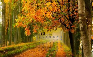 11至12月份工作总结6篇