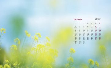 12月份幼儿园大班月总结8篇