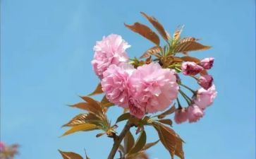 2月工作计划优秀8篇