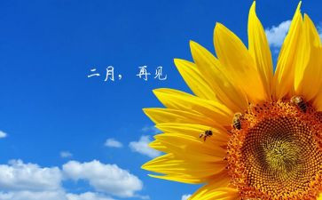 2月份行政工作总结6篇