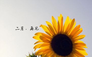 2022月工作计划模板8篇