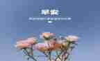 3月份的工作计划5篇