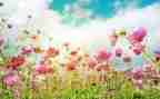 3月份的工作计划通用7篇