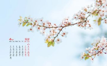 4月讲话稿6篇