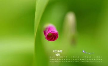 出纳2024月度工作总结范文7篇