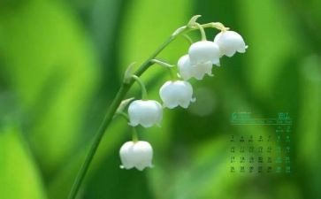 4月的演讲稿7篇