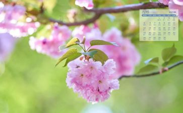 教学4月工作总结6篇