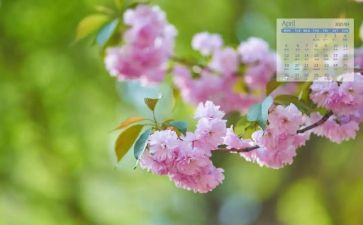 4月份的工作总结精选8篇