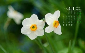 2024年4月爱国卫生月活动总结推荐6篇