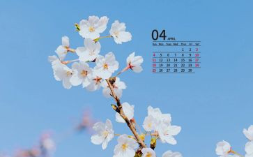幼儿园4月份月工作总结8篇