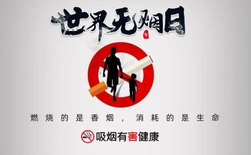 531心得体会8篇
