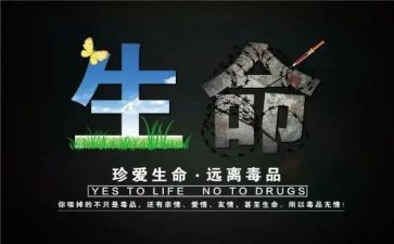 小学626活动总结最新6篇