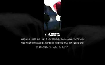小学626活动总结精选7篇