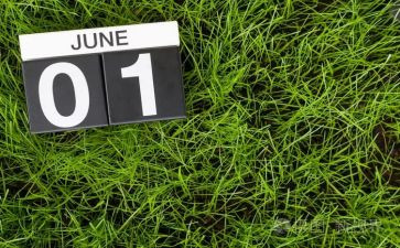幼儿园6月工作总结8篇