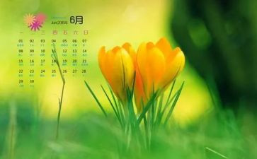 6月份教师工作总结6篇