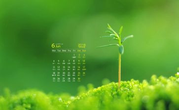 幼儿园中班6月份工作计划6篇
