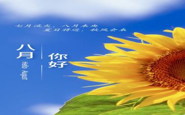 8月工作计划模板8篇