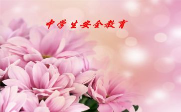 关于911的作文最新7篇
