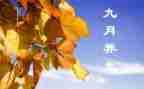 小班9月份月总结模板5篇