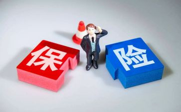安康险工作总结7篇