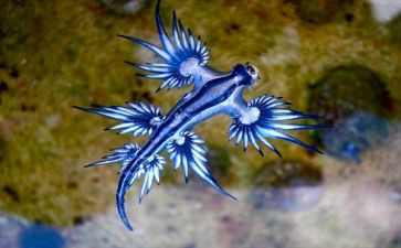 生物高中工作计划优质8篇