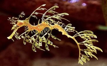 做生物实验的心得体会参考5篇
