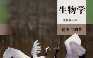 学生物工作总结优质8篇