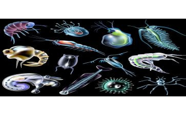 生物组教学工作总结推荐5篇