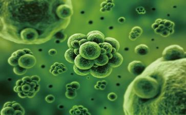 生物组工作计划优质5篇