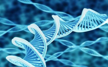 初中生物教师学期工作计划6篇