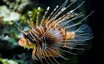 读生物心得体会模板7篇