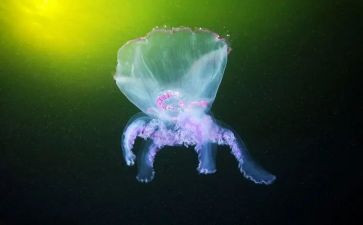 读生物心得体会6篇