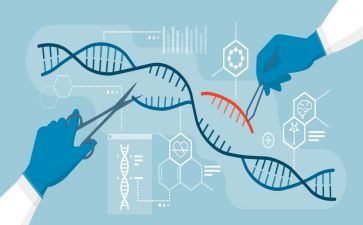 生物教师心得体会5篇