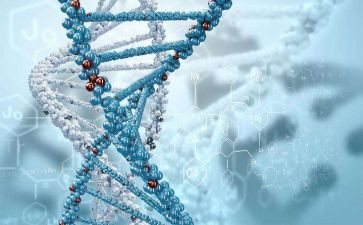 初一生物组工作总结5篇
