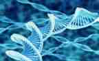 初中生物教师学期工作计划6篇