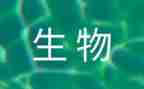 生物教师研修心得体会6篇