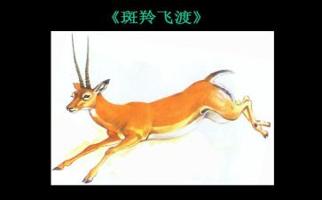 斑羚飞渡读后感优质7篇