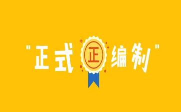 编制的工作总结5篇