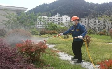 社区病媒生物防治工作计划5篇