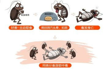 市病媒生物防制工作计划6篇