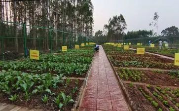 简单蔬菜购销合同7篇