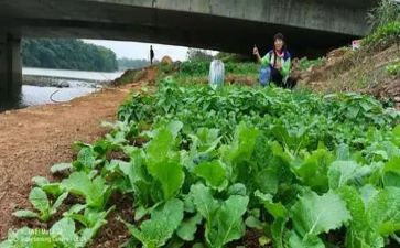学炒菜作文通用6篇