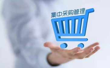 采购员的半年工作总结优质7篇
