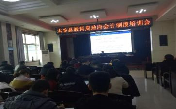 财会处工作总结5篇