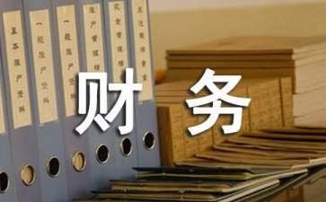 财务工作的明年工作计划6篇